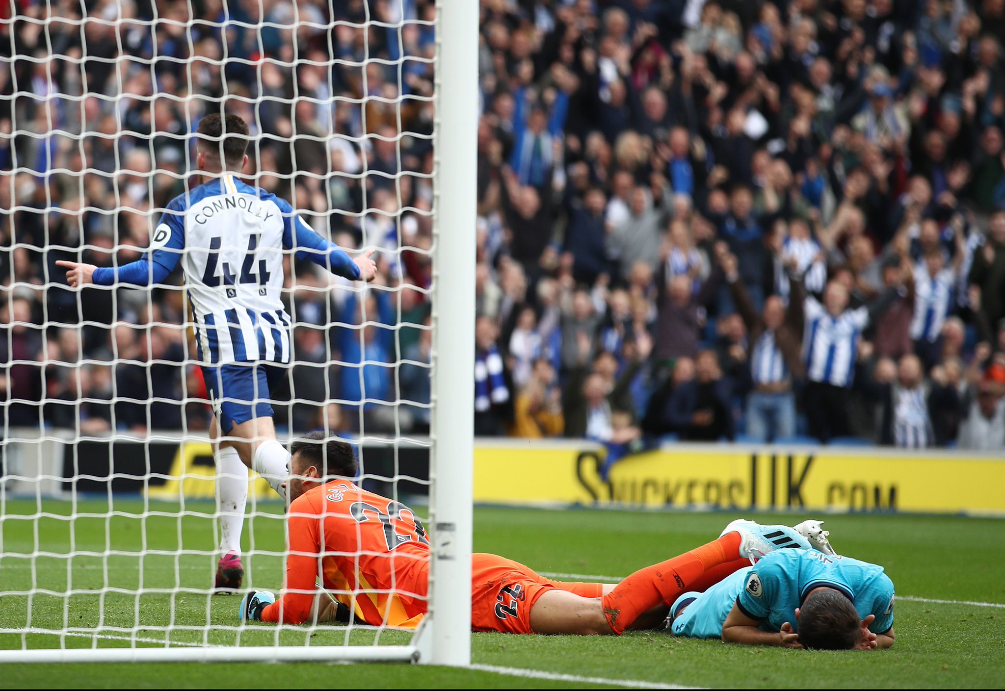 了亞洲玫瑰 了亞洲玫瑰